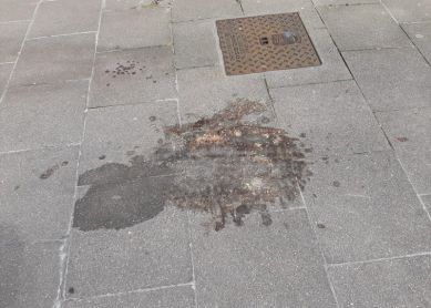 GORA DONOSTI