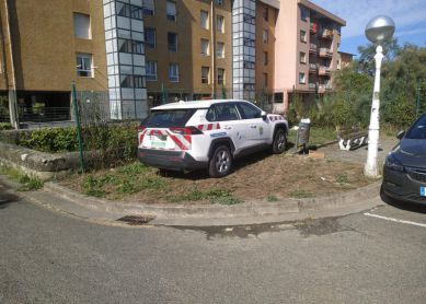 Profesionales (pagados) de la conservación de parques y jardines