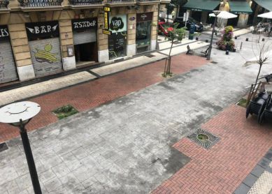 Arboles C/Reyes Católicos