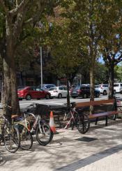 ¿Los bancos son para sentarse?