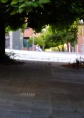 Paso inaccesible en paseo de Galicia