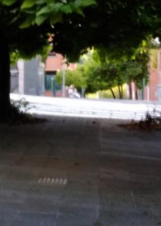 Paso inaccesible en paseo de Galicia