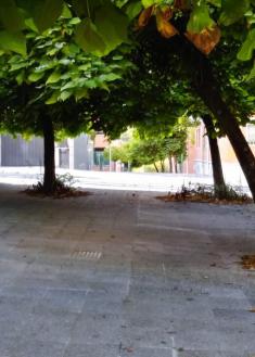 Paso inaccesible