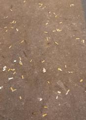 Tanto cuesta barrer? 