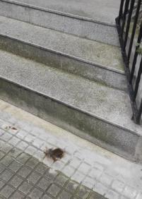 Cagadas de perro frente a entrada de pirtsl