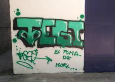 Derecho a expresar el ""arte""