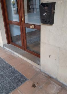 ¿Irresponsabilidad o venganza?