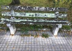 Bancos en muy mal estado de conservacion