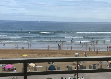 Surfistas en bandera amarilla