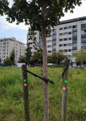 Ambulatorio SI, torres NO