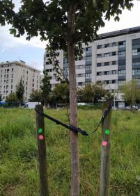 Ambulatorio SI, torres NO