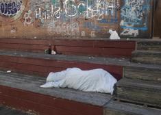 Esto también es Paseo de Colón