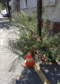 Lamentablemente el tema de parques y jardines en Martutene 