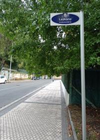 Los árboles nos invaden