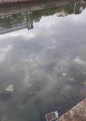 Utensilios y electrodomésticos de casa arrojados en el Urumea