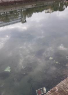 Utensilios y electrodomésticos de casa arrojados en el Urumea