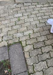 ¿Para cuando arreglar esto?