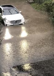 Abandonados por el ayuntamiento 