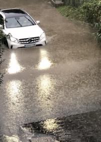 Abandonados por el ayuntamiento 