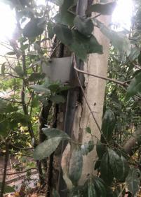 Abandono de camino público 