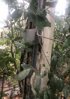 Abandono de camino público 