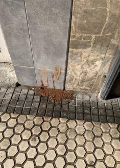 Mierda en la puerta del portal 