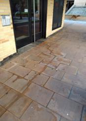 Sacando al perro para hacer un pis