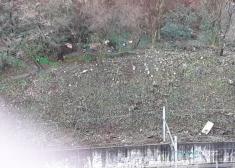 Limpieza ladera  San Juan de Dios