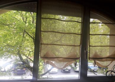 poda árboles zona Ondarreta