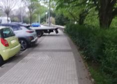 Falta de respeto a los peatones