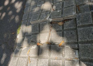 Adoquines levantados con peligro