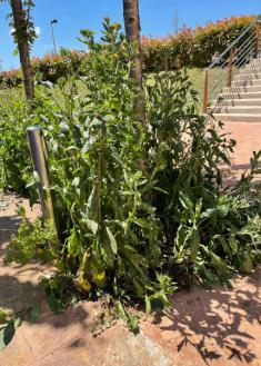 Nos merecemos estos cuidados en martutene?