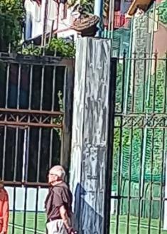 Ornamento peligroso en Jesuitas Donostia