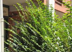 ¿Quién controla la desidia del ayuntamiento?