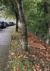 Basura frente al Hospital 