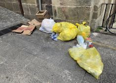 Basuras en la calle Elvira  Zipitria