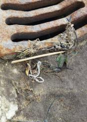 ItsaSOS: Bridas al mar