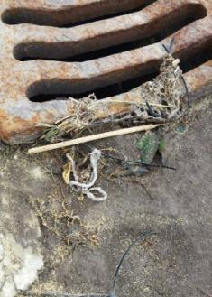 ItsaSOS: Bridas al mar