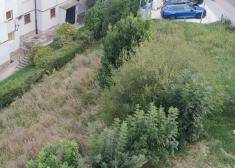 JARDINEROS MUNICIPALES