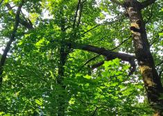 Peligro en el Palacio de Aiete