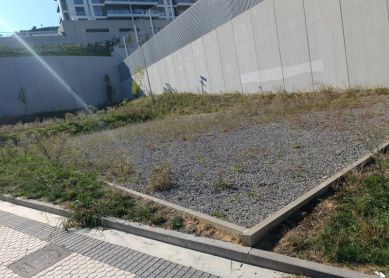 Solar desaprovechado en el centro