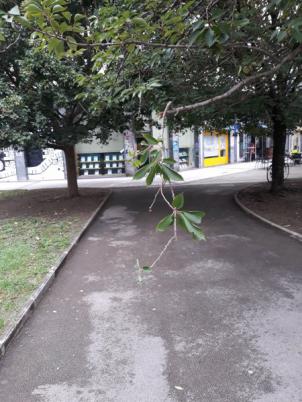 Mobiliario e infraestructuras en Donostia-San Sebastián