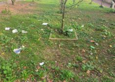 Basura en toda la ciudad