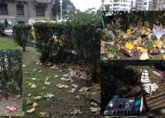 Pequeño vertedero en el Paseo de Francia