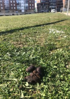 Nuevo parque de Altza lleno de excrementos
