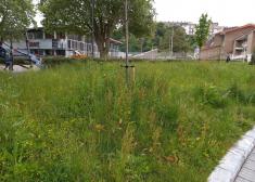 Jardines Zuhaizti