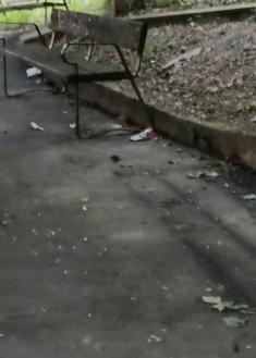 Ante la falta de la guardia municipal 