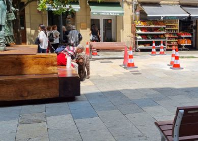 Chapuzas en plaza sarriegui 