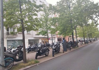 Paseo invadido
