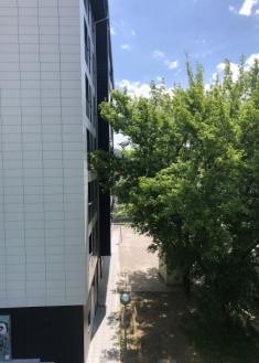 Fachada nueva